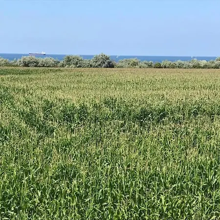 アパート Ostseeblick Apartmenthaus Im